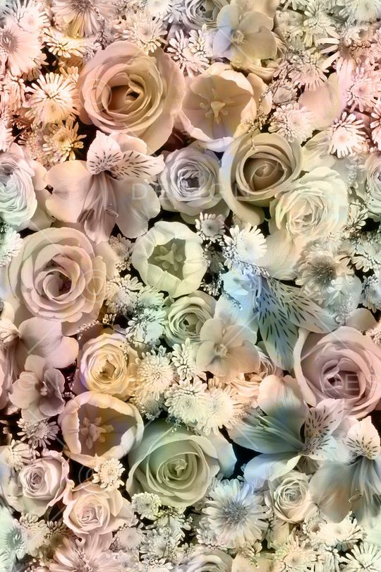 朦胧花印花华亿平台图片