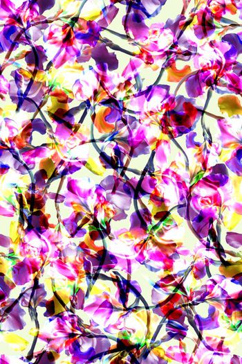 449653-抽象花卉效果