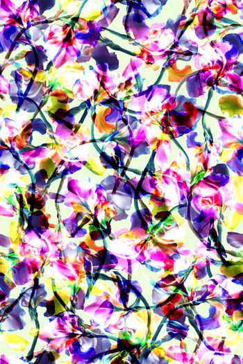 449654-抽象花卉效果