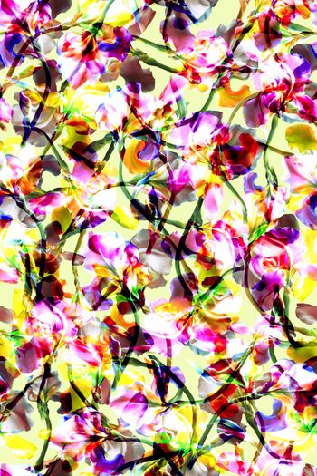 449655-抽象花卉效果