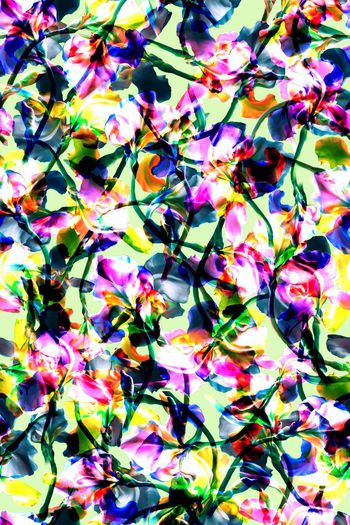 449656-抽象花卉效果