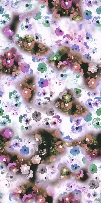 449952-凝固的花朵