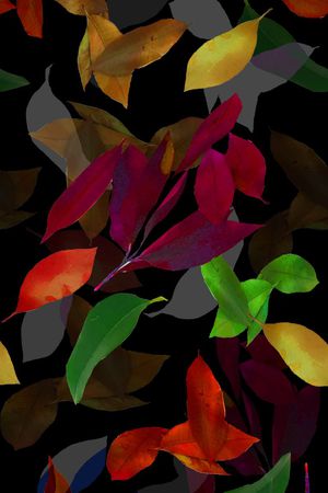 个性印花华亿平台图片