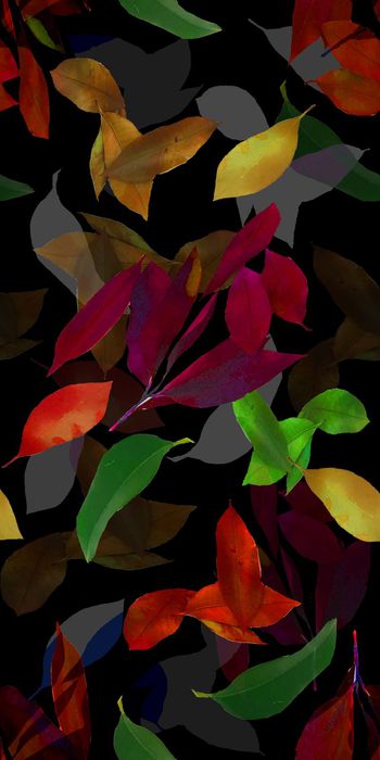 个性印花华亿平台图片