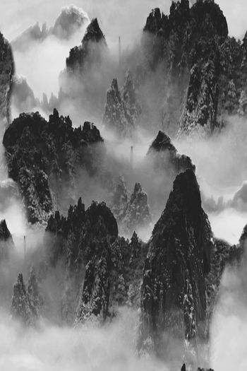 休闲印花华亿平台图片