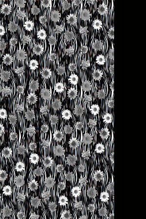 斑马纹理印花华亿平台图片