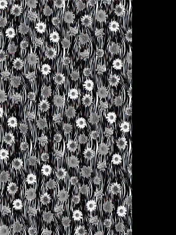 450225-斑马小花朵