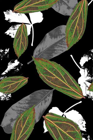 时尚印花华亿平台图片