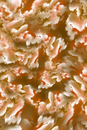 云印花华亿平台图片