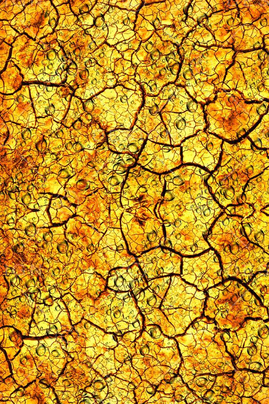 个性印花华亿平台图片