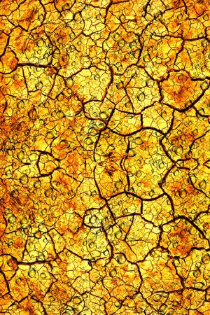 个性印花华亿平台图片