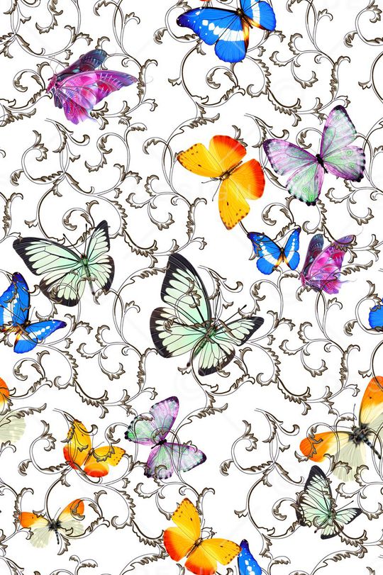 蝴蝶印花华亿平台图片