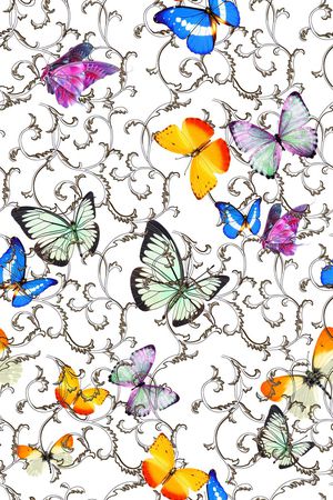 蝴蝶印花华亿平台图片