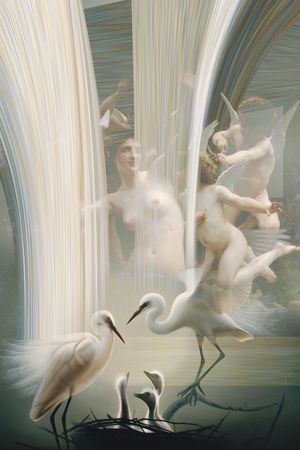 白鹤印花华亿平台图片