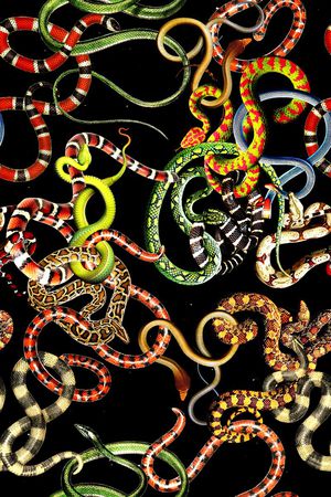 时尚印花华亿平台图片