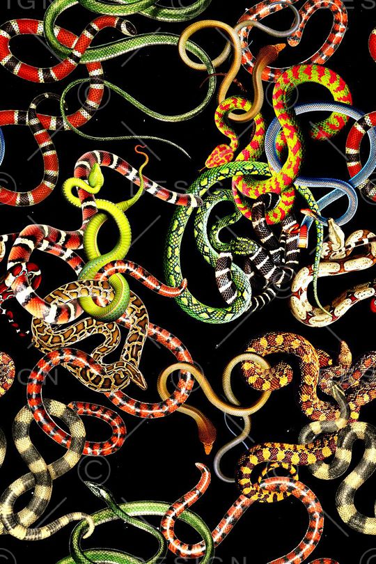 时尚印花华亿平台图片