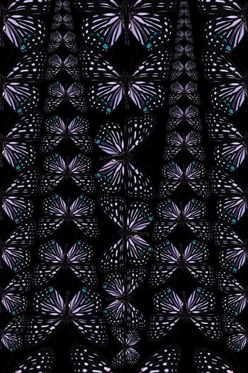 451025-原创大牌风格抽象蝴蝶格子