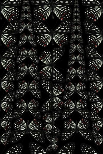 451027-原创大牌风格抽象蝴蝶格子