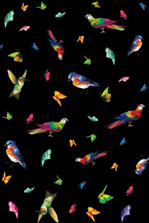 各种女装印花华亿平台图片