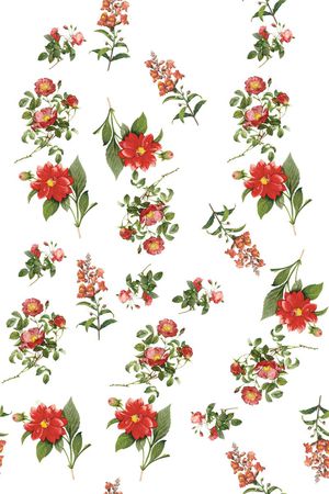 简单印花华亿平台图片