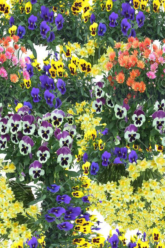 时尚印花华亿平台图片