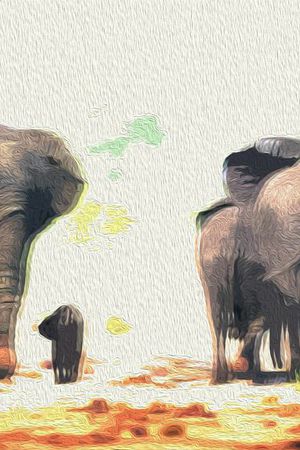 时尚印花华亿平台图片