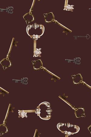 复古印花华亿平台图片