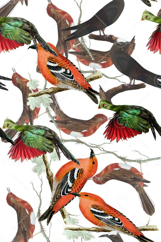 时尚印花华亿平台图片