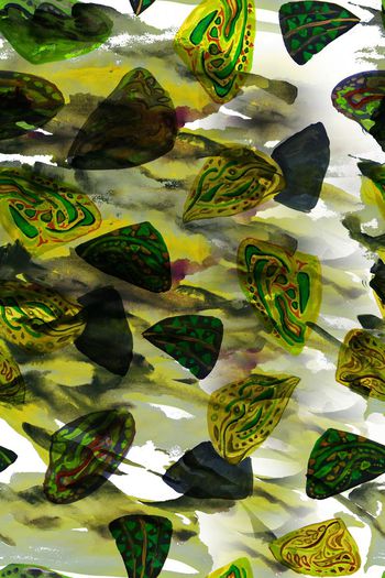 451232-纯原创手绘抽象贝壳元素系列 高端水