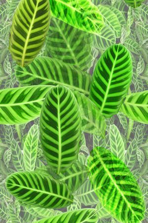 时尚印花华亿平台图片