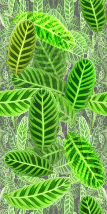 时尚印花华亿平台图片