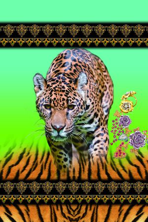 豹子印花华亿平台图片