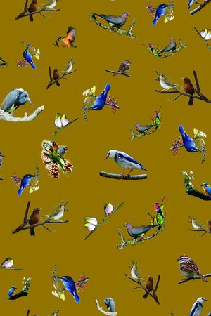 鸟类印花华亿平台图片