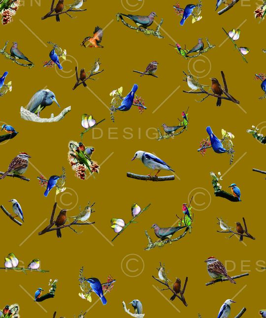 鸟类印花华亿平台图片