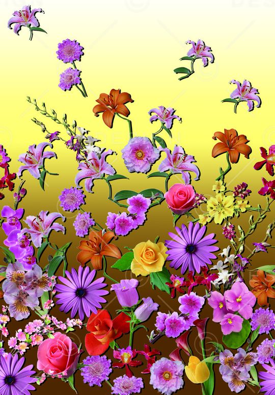 时尚花卉印花华亿平台图片