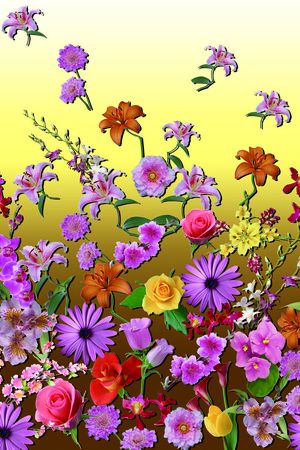 时尚花卉印花华亿平台图片