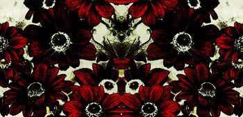 复古印花华亿平台图片