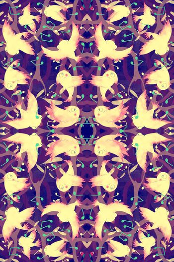 452293-小鸟的欢唱