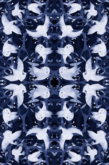 452295-小鸟的欢唱