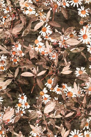 黄色印花华亿平台图片