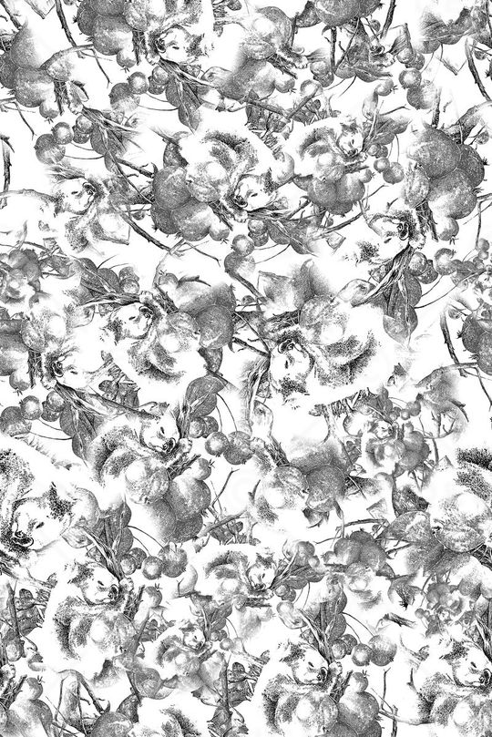 橘子印花华亿平台图片