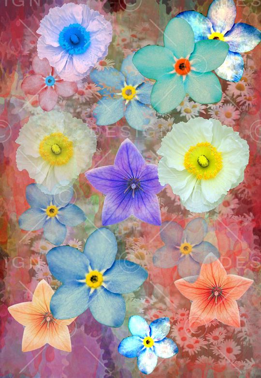 时尚印花华亿平台图片