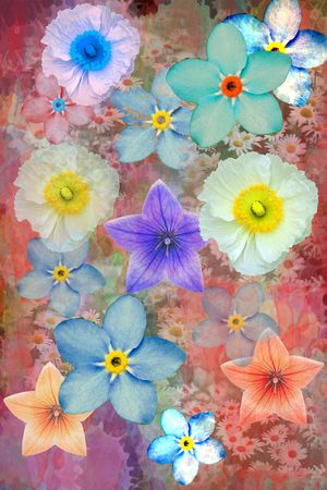 时尚印花华亿平台图片