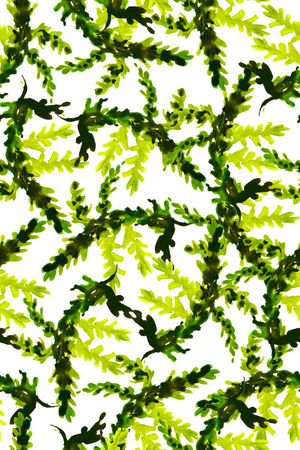 潮牌印花华亿平台图片