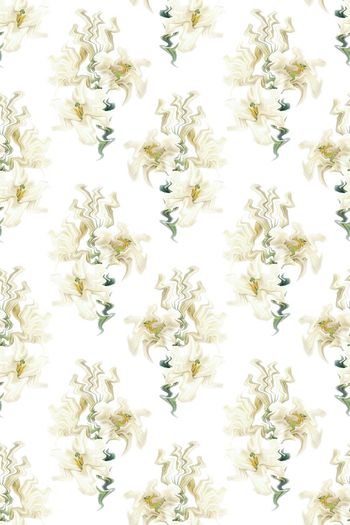 452580-小清新创意液化百合花