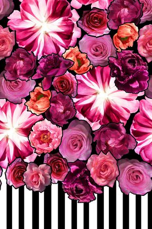 黑白线条印花华亿平台图片