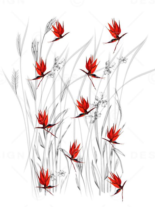 芦苇印花华亿平台图片