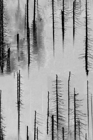 风景印花华亿平台图片