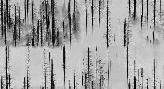 风景印花华亿平台图片