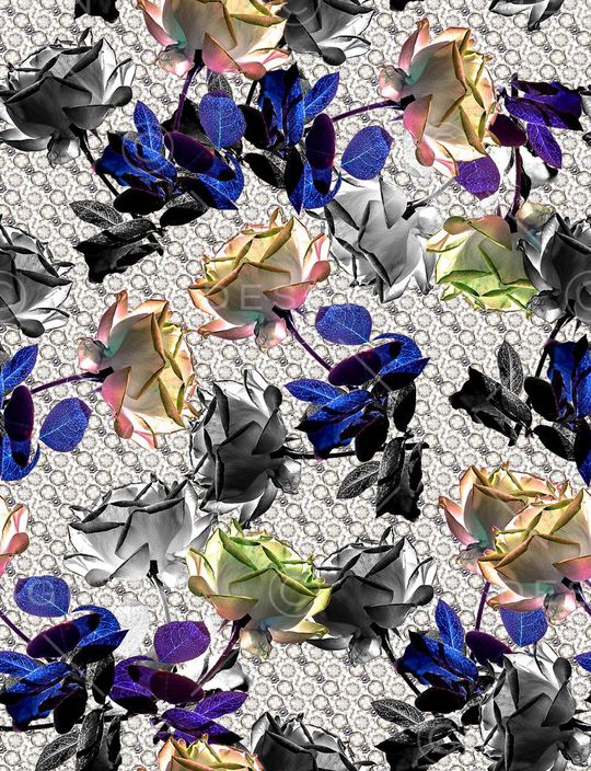 玫瑰花印花华亿平台图片